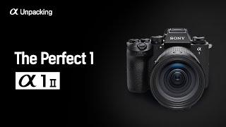  The Perfect 1 │α1 II │ 디지털 언패킹