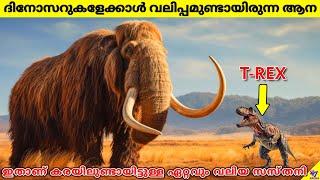 Largest Land Mammal Ever Lived On Earth Was Bigger Than Dinosaurs | Facts Malayalam | 47 ARENA