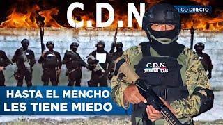 El LETAL CÁRTEL DEL NORESTE: Por esto ni el Cártel de Sinaloa, ni el CJNG se Atreven a Enfrentarlos