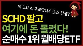 미배당보다 성과 더 좋다? 올해 돈 몰리고 있는 국내상장 월배당 ETF (Ft. SCHD, DIVO)