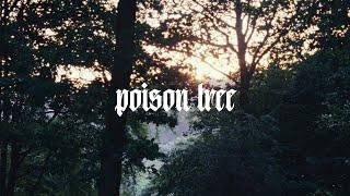 POISON TREE