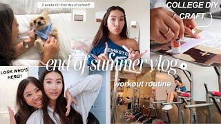 VLOG: reaching the end of summer and start of junior year in  college!