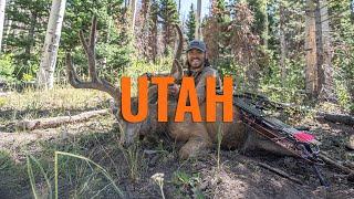 WHAT YOU NEED TO KNOW - Utah Application Strategy