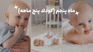 ماه پنجم (کودک پنج ماهه)/توانایی ها و ویژگی های کودک پنج ماهه/رشد کودک