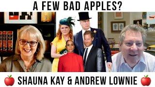 Prince Harry's Return To The UK? Andrew LOWNIE'S Opinion! #royalfamily #princeharrry