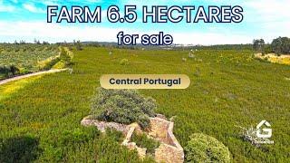   SOLD | 6.5 hectares for sale in Central Portugal