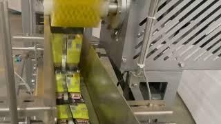 Strip Packaging Machine: Secondary Packaging Automation | Spice Packaging