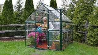 Harmony™ Green Polycarbonate Greenhouse by Palram - Canopia