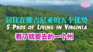 看了就想去的一个州 搬到维吉尼亚的五个优势 5 Pros of Living in Virginia 【Echo在美国】【 Echo's happy life】【 Echo的幸福生活】