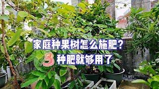 家庭種果樹該怎麼施肥？不需要準備太多，這3種肥就夠用了