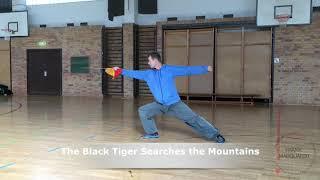 Chen Style Taijiquan Sabre Form