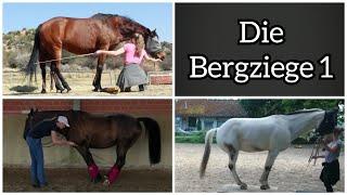 Alles was du über die BERGZIEGE wissen musst - Tutorial feat. blindly follow horses | Part 1