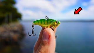 Fishing Tiny Lures in a Feeding Frenzy!!