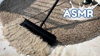 Is One Scrape enough? | satisfying rug double scraping compilation | ASMR