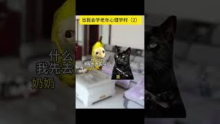 #猫meme #cat #猫meme小剧场 #猫meme剧场