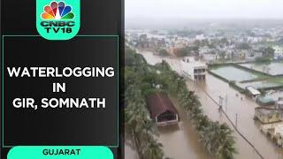 Gujarat Monsoon Fury: Massive Waterlogging Reported From Gir & Somnath | CNBC TV18