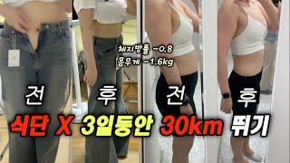 식단없이 3일동안 런닝머신 30km 뛰기ㅣ비타민신지니 이지은허벅지 티파니허리운동ㅣ찜닭,요아정,라면먹고 -1.6kg 감령