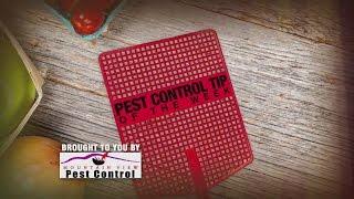 Pest Control Tip Of The Week 7/21/15