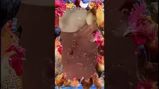 Big Cystic Acne Blackheads Extraction Blackheads & Milia, Whiteheads Removal Pimple Popping #PA215