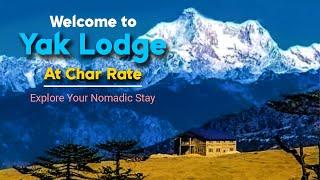 Welcome to Yak Lodge at Char Rate : Explore Your Nomadic Stay | Wonder Vision Holidays