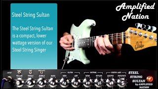 Amplified Nation Steel String Sultan