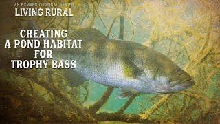 How to Create a Pond Habitat for Trophy Bass | Living Rural: Pond Management | YouTube