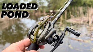 JUICED Hidden Pond With Big Bass! |Fort Worth BFS Angling|