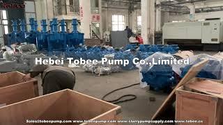 Tobee Horizontal Slurry Pumps for Mining Industry