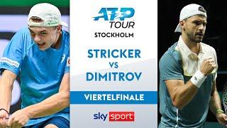 Stricker  vs. Dimitrov  - Viertelfinale | BNP Paribas Nordic Open Stockholm 24 | Highlights