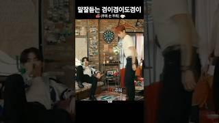 [세븐틴/도겸]말을 잘 듣는편인 도겸이