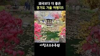 9월,10월 외국보다 더 좋은 서울 근교 여행지 베스트5 #가을여행#가평#포천#경기도여행