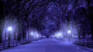 Snowy Park Sonata: Music for Deep Sleep, Relaxation, Study, and Depression Relief