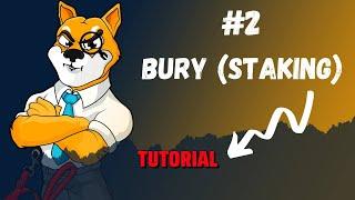 #2 SHIBA INU (SHIB) SHIBASWAP: BURY TUTORIAL (STAKING)