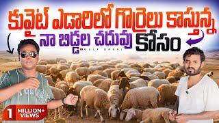 || goat life real story || నా బిడ్డల చదువు కోసం || కువైట్ ఎడారిలో పదేళ్లుగా గొర్రెలు కాస్తున్న