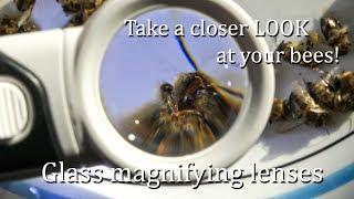 See Your Honey Bees UP CLOSE iMagniphy High Magnification GLASS Lenses