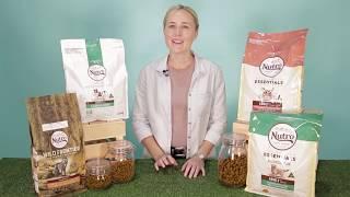 Nutro Dog Food - Discover More with Pet Circle