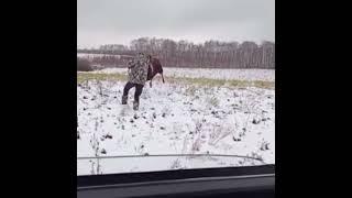 Лось дал сдачи браконьерам. Якутия.