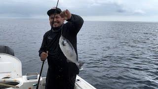 Pescando en catalina segunda parte