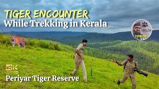 Encounter with Tiger while trekking in Kerala Forest | Gavi safari English in Periyar Thekkady