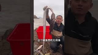 【阿向赶海】猪刚鬣坑，大青龙狂殴美国红鱼 为国争光，巨型石斑力大无比 吓得表妹花容失色
