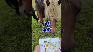 The BEST Horse Painting Experience in JUST 1 DAY!  