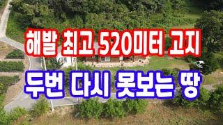 땅 시골 땅 매매 해발 최고 520미터 국유림 임야 약 95만평 접 온돌 아궁이 방 게스트 룸 뽕나무 블로베리 아로니아 복분자 대추 고급 주택 최고 친환경 정성 지어 지은 집