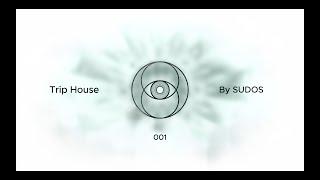 SUDOS - Trip House 001 | Guy J | Diass | Fairtone | Mark Alow | Organic | Melodic | Progressive Mix