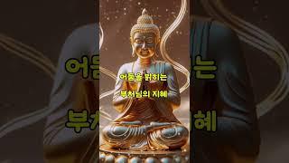 연꽃의 빛이 깨어납니다. 부처님 자비의 기운 받으세요.