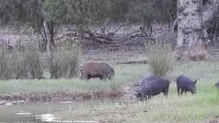 The Boar Bath - Central NSW, January 2018