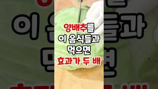 양배추를 이 음식들과 먹으면 건강 효과가 두 배! #양배추 #양배추건강 #양배추효능