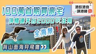 【V+Hong Kong | 香港置業線 | 港飲港食講港樓】容龍居100萬首期買全海景豪宅｜頂樓連天台2000呎任用