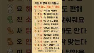 띠별 찰떡 궁합, 말 하지 않아도 알아요‍️‍‍