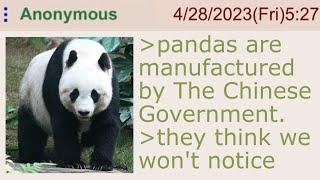 4Chan User Exposes Chinese Panda Hoax - 4Chan Greentext Stories