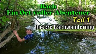 Unsere abenteuerliche Bachwanderung (Teil1) | Kinder Abenteuer, Naturabenteur